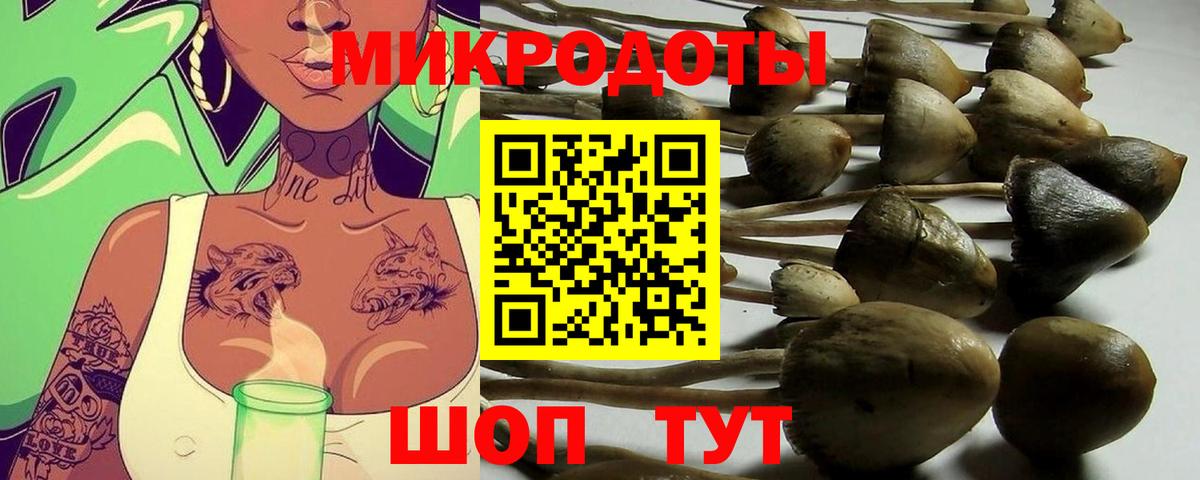 Псилоцибиновые грибы Cubensis  Вход с VPN  Азов 